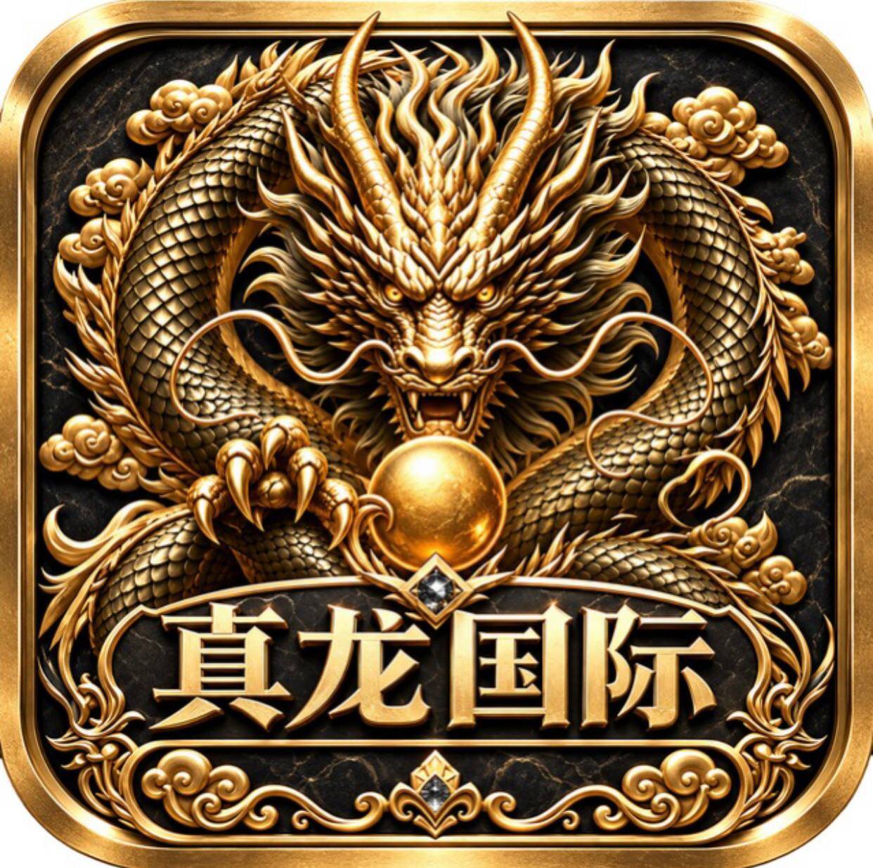 真龙国际